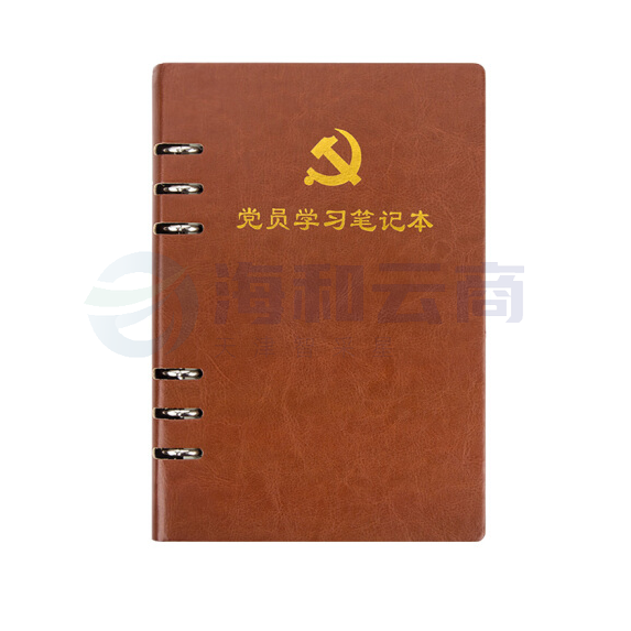 活页式党员学习笔记本A5 党员会议记录本党员本（棕色）