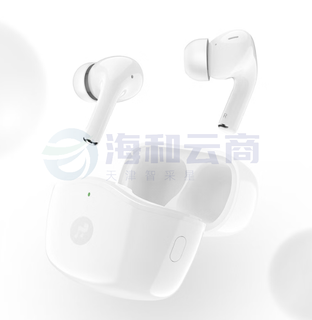 科大讯飞真无线蓝牙耳机 主动降噪入耳式耳机 HIFI音乐点歌耳机 苹果华为小米手机通用 白色