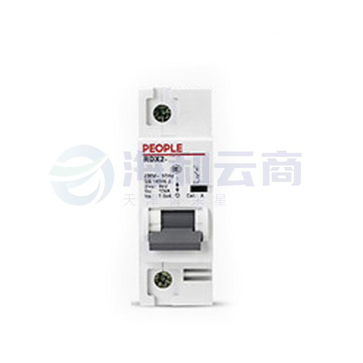 人民电器 断路器 RDX2-100（80A/1P）空气开关