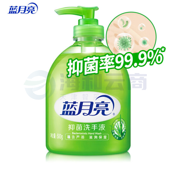 蓝月亮 芦荟抑菌洗手液500g瓶
