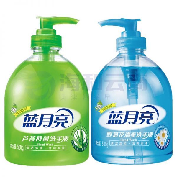 蓝月亮 500g芦荟洗手液+500g野菊花洗手液 芦荟野菊花洗手液套装