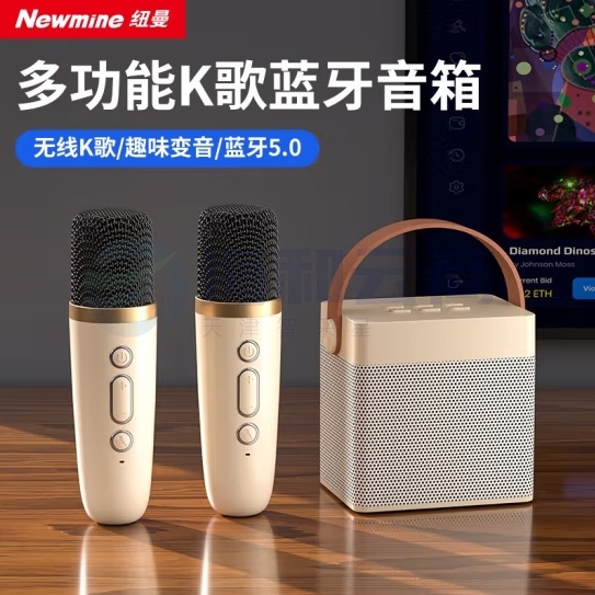 纽曼(Newmine)DP98无线蓝牙音箱家庭KTV音响套装户外广场舞音响迷你便携式K歌麦克风一体机桌面话筒小音响双麦版  yykj-240419162640