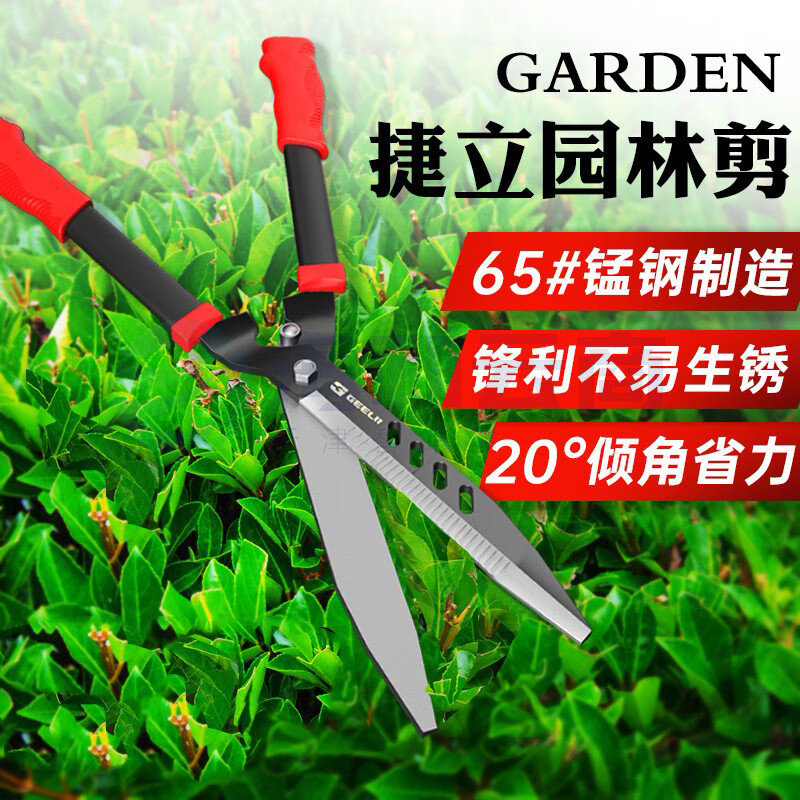 捷立(GeeLii)园林剪刀 园艺草坪剪整篱剪 果树绿化修枝剪刀 绿篱剪刀修枝剪