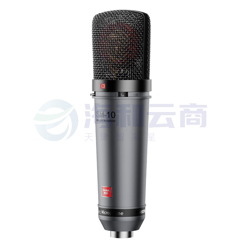 得胜(TAKSTAR)SM-10 专业录音麦克风 大合唱专业录音影视配音演出 48V话筒麦克风
