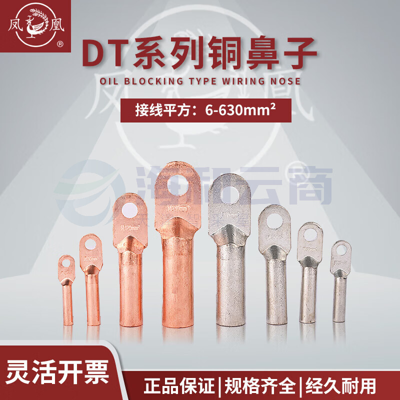 凤凰 DT--25平方 接线端子 铜端子铜鼻子