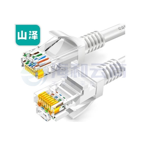 山泽(SAMZHE)ZW-02 超五类网线 CAT5e类高速百兆网线 2米 贝吉色 (